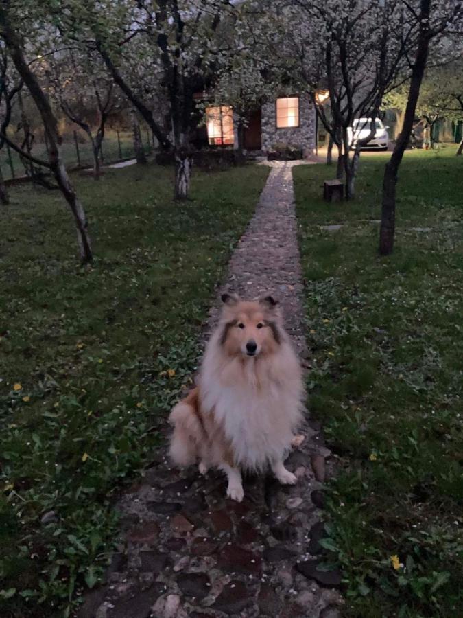 Country House Bihać エクステリア 写真